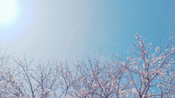 ☆あきらめないで！沢山の人が応援してます☆ のトップ画像