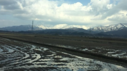 SRS代プロジェクト のトップ画像