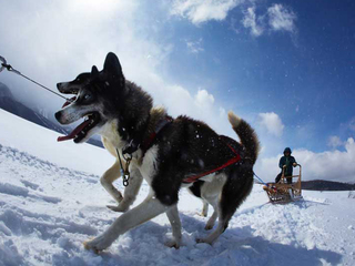 北海道の山の廃校に犬ぞりとカヌーによる地域活性の拠点を作る！