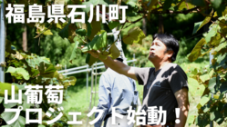 「山葡萄で何ができる？」福島県石川町を持続可能な地域へ