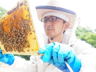 養蜂業界に革命！ITシステムを活用して美味しい蜂蜜を生産する！ のトップ画像