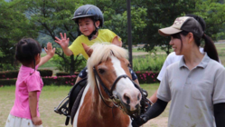 馬が引き出す子どもの可能性｜新たなセラピーホース購入プロジェクト のトップ画像