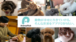 どんな人でも動物保護活動へ参加できる世界を、アプリで作りたい。 のトップ画像