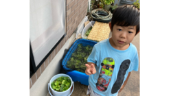 サッカーのプロ選手を目指しながらオリジナルめだかの開発に挑む のトップ画像