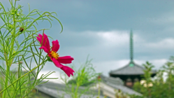 22日のイベントでは国宝について御住職から説明が・・