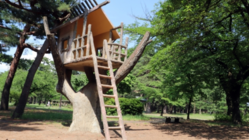 無料の公園を作り子供たちにアジアと自然を感じてほしい！(福岡県) のトップ画像