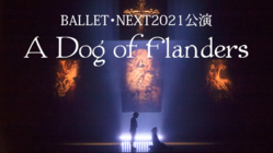 BALLET NEXT公演「A Dog of Flanders」 のトップ画像