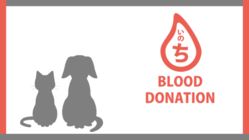 【血液で救う犬猫の命】助け合いで広げる輸血ドナープログラム構築へ のトップ画像