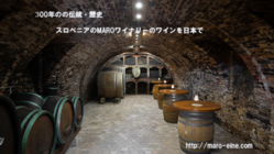 300年の歴史を継承し十字軍も愛したスロベニアのワインを日本に のトップ画像