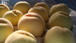 岡山特産の白桃無添加手作りジャムを皆さんに届けたい。 のトップ画像