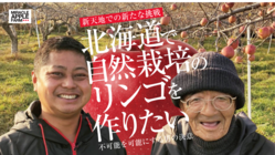 「奇跡のリンゴ」木村さん直伝！北海道で自然栽培のリンゴを実らせたい