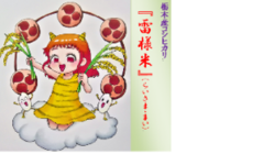 奇跡のお米『雷様米（らいさま-まい』を全国のみなさんに知ってほしい のトップ画像