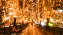 2020SENDAI光のページェント開催へ！ のトップ画像