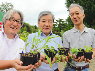 【第2弾始動】3.11で被災した宮城県の海浜植物を再生させたい！