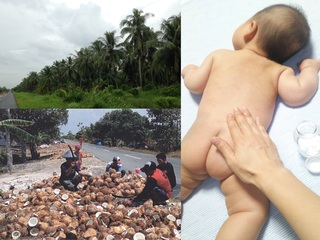 インドネシア直送！安心して使える搾りたてココナッツオイル制作 のトップ画像