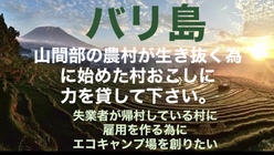 バリ島山間部の農村が生き抜く為に始めた村おこしにご協力お願いします のトップ画像