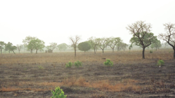 瀬川さん、元気が湧いてきました