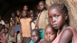 南コルドファン州の障害を抱えた人達のための学校と職業訓練所設立 のトップ画像