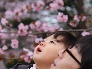 パパとママ、子どもたちからのSOSをサポートする施設を札幌に のトップ画像