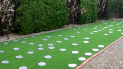 コロナ禍でお亡くなりになられた 故人様ご遺族様へ心の復興応援樹木葬 のトップ画像