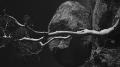 Katachi -In &Out- 相原正明写真展 のトップ画像