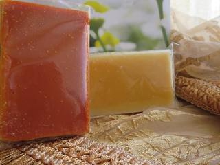 モンゴル産原料使用のオーガニックコスメの生産拠点を作りたい！ のトップ画像