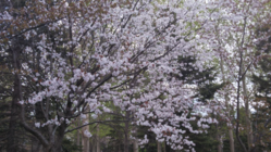 規模の大きいトラックドライバーの休憩場所を作ろうと思っています のトップ画像