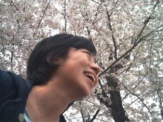 気仙沼に桜を！人々の心を癒す桜を植える『手あわせ桜プロジェクト気仙沼』