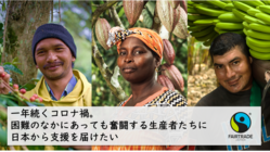 コロナ禍の困難のなかでも奮闘する生産者たちに日本から支援を届けたい のトップ画像