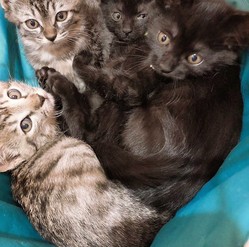 こころ笑(kokoroe) のトップ画像