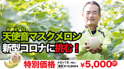 静岡温室メロン産地の維持再生！ のトップ画像