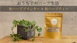 【滋賀の農園発】手軽におうちで完全無農薬の和ハーブ生活が楽しめます のトップ画像