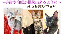 眼の手術や治療が続けられるようにお力をお貸しください のトップ画像