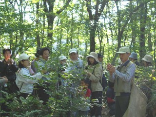 日本の森を守り、国産植物による高品質芳香商品の開発を行います のトップ画像