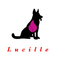 VintageをNew Vintageへ のトップ画像