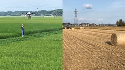 よりよいお米を皆様に届けたい！～低温保存倉庫導入をめざします～ のトップ画像