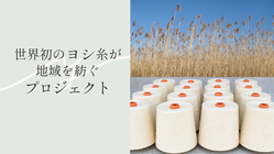 「世界初のヨシ糸が地域を紡ぐプロジェクト」が、淀川からスタート！ のトップ画像