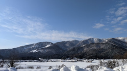 温暖化で観光資源を失いつつある地区を犬達の力で活性化したい！ のトップ画像