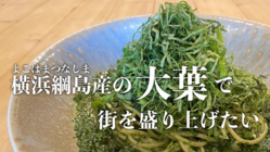 大葉で街を盛り上げたい「食べて」「飲める」横浜綱島産の大葉で！！ のトップ画像