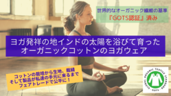 環境と人にやさしいオーガニックコットンのヨガウェアを広めたい！ のトップ画像