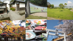 旅情演歌「東近江の愛しい女」で東近江市の観光資源を全国に発信したい のトップ画像