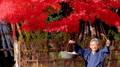 【上杉衆これぞ芋煮会】開催～リアル&リモートで米沢と繋がろう！！ のトップ画像