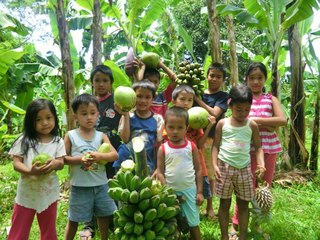 フィリピンにナチュラルフードカフェを　～農民・子供たちの生活向上大作戦！～ のトップ画像