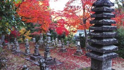 ご支援いただいたみなさまへ（お礼）