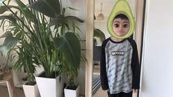 フォートナイト世界大会を目指す小学5年生を応援するプロジェクト のトップ画像