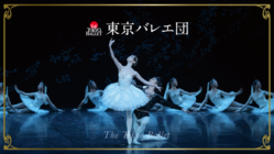 東京バレエ団｜コロナ禍を生き延び、ピンチをチャンスに変えるために