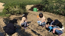 休耕地を開拓！ニンニク栽培で自閉症者の工賃倍増計画！ のトップ画像