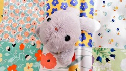 うさぎの命を守りたい　Vol.２ のトップ画像