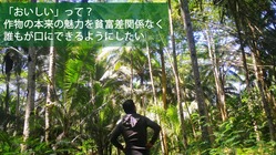 「おいしい」を届ける‐日本農家の技術を取り入れた農作物を次世代に のトップ画像