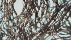 繊維一本一本を 殺菌能力のある金属銅で覆った 新素材を提供したい のトップ画像